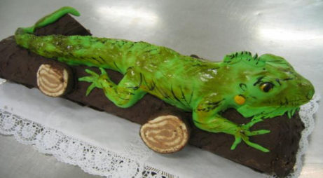 Dort speciální - chameleon