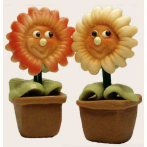 PM-004 Gerbera