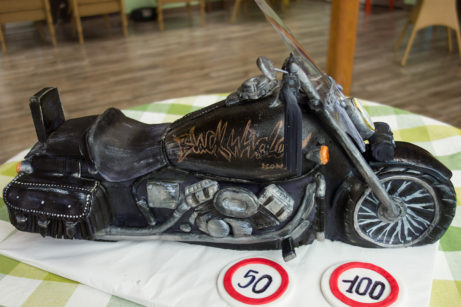 DS-1304-harley